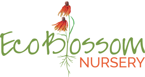 Eco Blossom Nursery logo