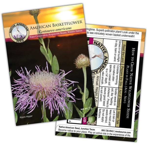 Passiflora incarnata (Purple Passion Flower) – Eco Blossom Nursery
